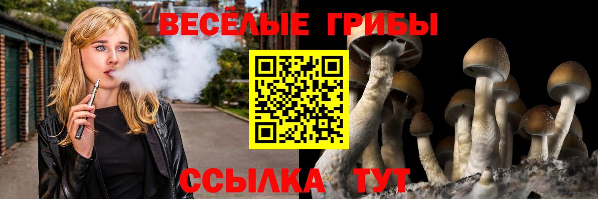 Псилоцибиновые грибы Psilocybine cubensis  закладки  Печора  Вход с VPN  Псилоцибиновые грибы Psilocybe 